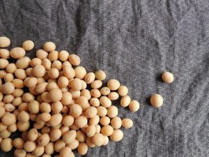 ビタミンB6 の働きと作用 大豆